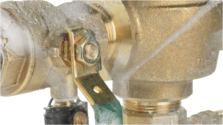 Backflow Freeze Sensors