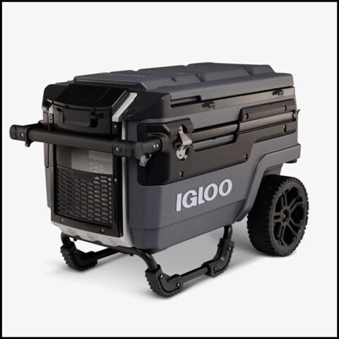 Igloo cooler_web